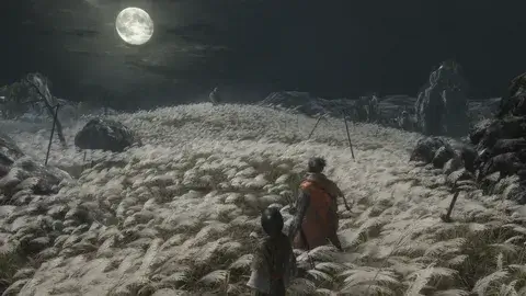 Sekiro: Shadows Die Twice kapak